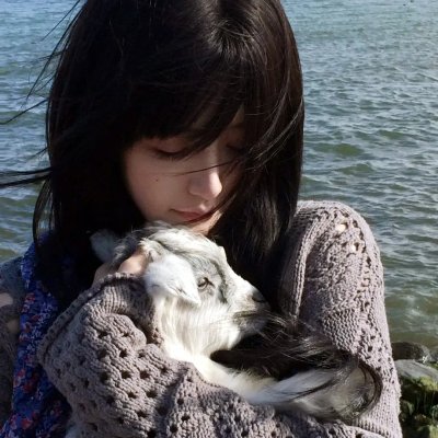 蛇和猫鼬